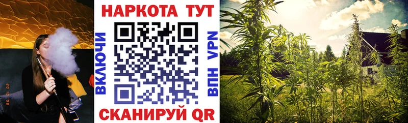 Наркошоп купить Гашиш  Галлюциногенные грибы  Меф  Кокаин  Салехард