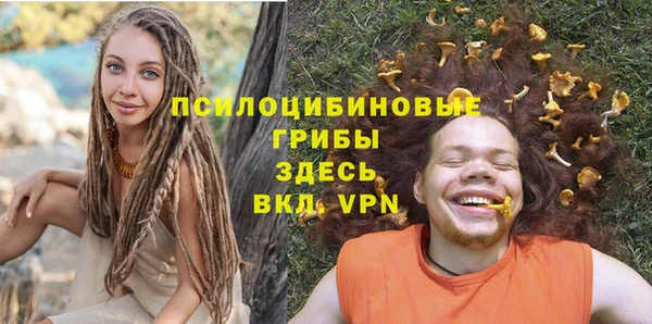 каннабис Каменногорск