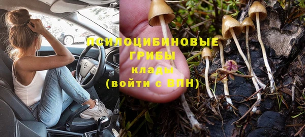 Альфа ПВП Инта