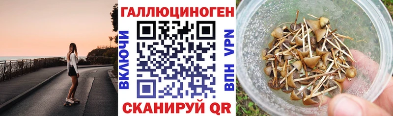 Купить  Салехард  Псилоцибиновые грибы GOLDEN TEACHER 